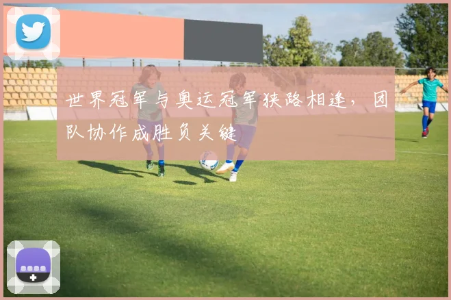 世界冠军与奥运冠军狭路相逢，团队协作成胜负关键