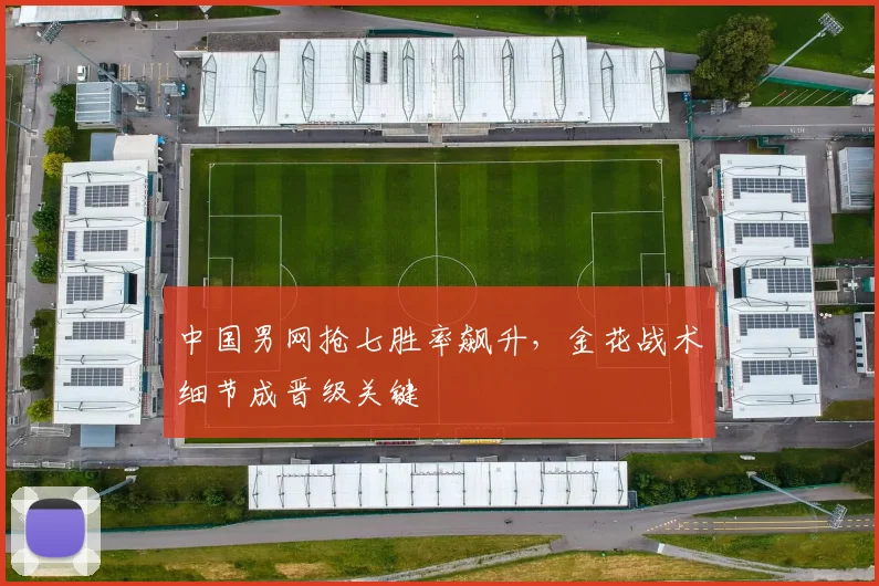 中国男网抢七胜率飙升，金花战术细节成晋级关键