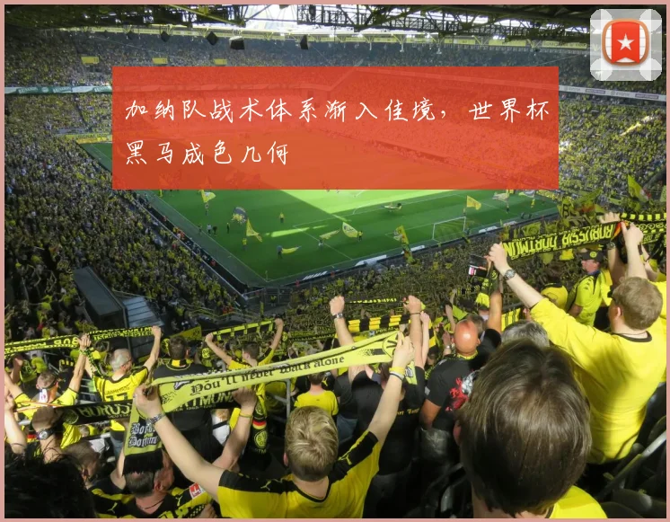 加纳队战术体系渐入佳境，世界杯黑马成色几何