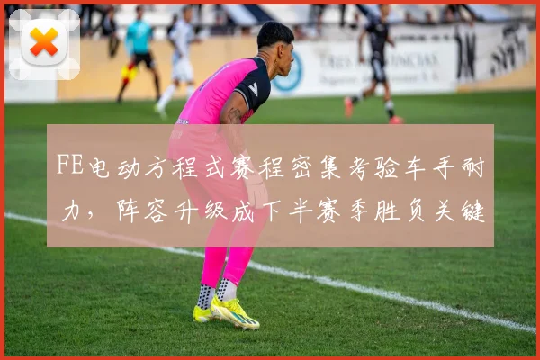 FE电动方程式赛程密集考验车手耐力，阵容升级成下半赛季胜负关键
