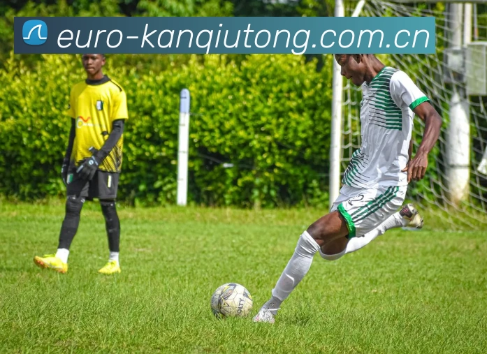 解说员王涛